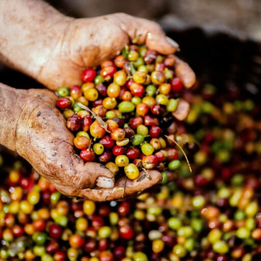 Coffee beans