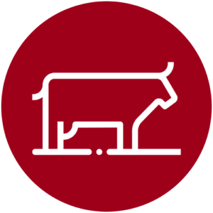 Cattle icon